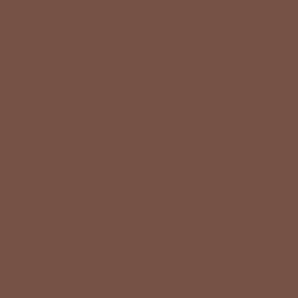 Superior Seamless Paper - 20 - Coco Brown
