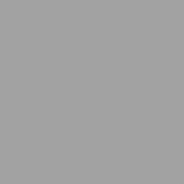 Superior Seamless Paper - 58 - Slate Grey