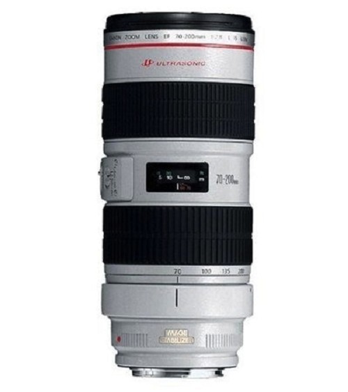 Canon EF 70-200mm f/2,8L IS USM - (OS) - Andreella Photo