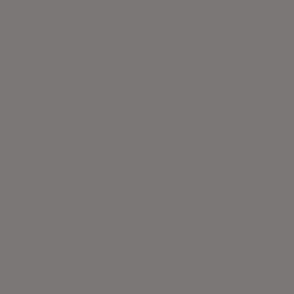 Superior Seamless Paper - 04 - Neutral Grey