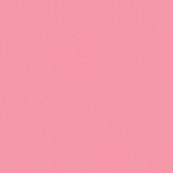 _ Colorama CARNATION