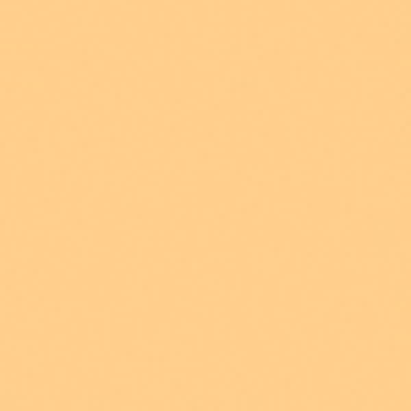 _ Colorama MAIZE